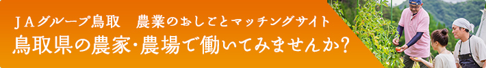 ＪＡグループ鳥取　農業のおしごとマッチングサイト鳥取県の農家・農場で働いてみませんか？