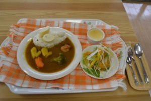 日野高校（鳥取凝縮！幸せの黄色いカレーはウサギが届けます）